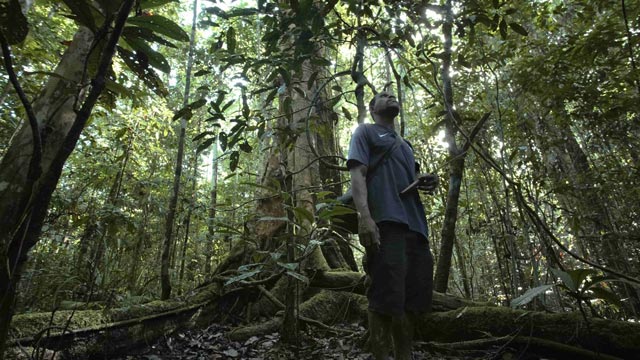 Laporan IIED menyebut hanya 10 persen dana iklim yang sampai ke masyarakat adat. Foto: Yayasan EcoNusa