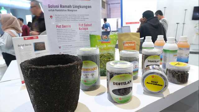 Pot Derris. Foto: BRIN