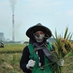 Riset ungkap 20 PLTU berbahaya sebabkan risiko besar kesehatan dan ekonomi. Foto: Bukbij Candra Ismeth Bey_Trend Asia