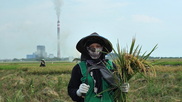 Riset ungkap 20 PLTU berbahaya sebabkan risiko besar kesehatan dan ekonomi. Foto: Bukbij Candra Ismeth Bey_Trend Asia