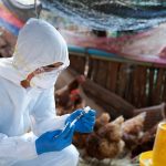 75 persen penyakit menular bersifat zoonosis. Foto: Freepik