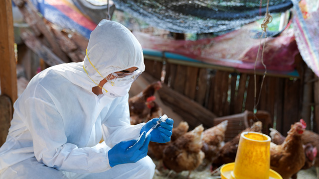 75 persen penyakit menular bersifat zoonosis. Foto: Freepik