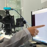 Riset Ecoton mengungkap air hujan Surabaya tercemar mikroplastik. Foto: Ecoton