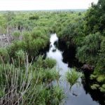 Sistem cegah kebakaran gambut berbasis IoT menang di Siak Innovation. Foto: Pantau Gambut