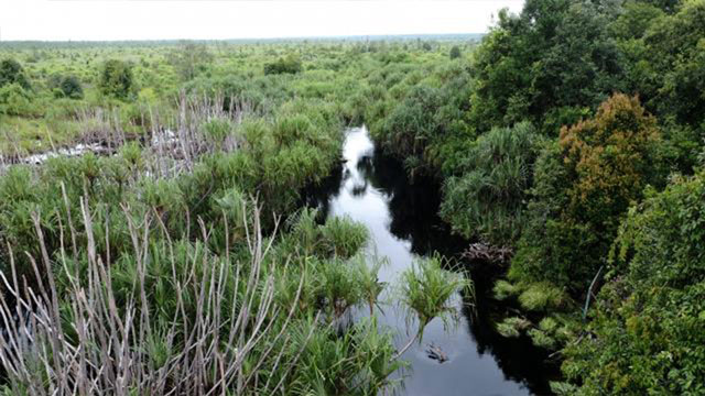 Sistem cegah kebakaran gambut berbasis IoT menang di Siak Innovation. Foto: Pantau Gambut