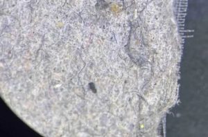 Riset Australia mengungkap filter mesin cuci mampu menangkap mikroplastik pakaian. Foto: Techxplore