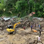 Kayu gelondongan. Foto: BNPB (Bidang Komunikasi Kebencanaan / Muhammad Andhika Rivaldi)