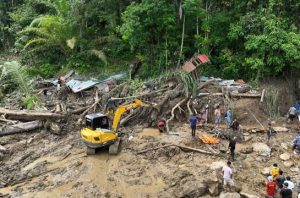 Kayu gelondongan. Foto: BNPB (Bidang Komunikasi Kebencanaan / Muhammad Andhika Rivaldi)
