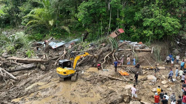 Kayu gelondongan. Foto: BNPB (Bidang Komunikasi Kebencanaan / Muhammad Andhika Rivaldi)