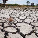 Mayoritas warga Indonesia cemas terhadap perubahan iklim. Foto: Freepik