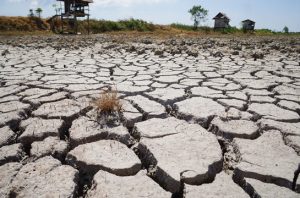 Mayoritas warga Indonesia cemas terhadap perubahan iklim. Foto: Freepik