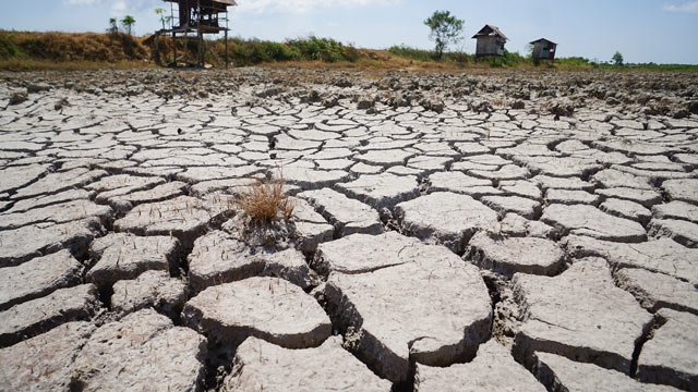 Mayoritas warga Indonesia cemas terhadap perubahan iklim. Foto: Freepik