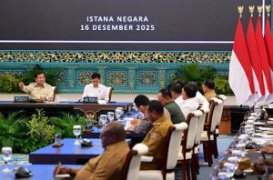 Ekspansi sawit Papua berpotensi picu bencana serupa Sumatra. Foto: BPMI Setpres/Muchlis Jr