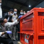 Sepanjang 2025, pemerintah masih absen dalam mendorong transisi energi. Foto: Kemenhut