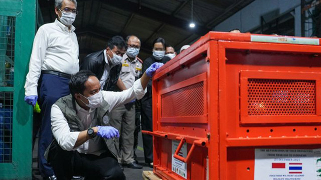 Sepanjang 2025, pemerintah masih absen dalam mendorong transisi energi. Foto: Kemenhut