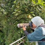 kegiatan mengamati dan memotret burung. Foto: Dini J. Wardani