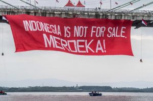 Rumah aktivis Greenpeace mendapat kiriman bangkai ayam. Foto: Jurnasyanto Sukarno / Greenpeace