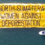 Banjir Sumatra jadi pengingat bagi pemerintahan Prabowo untuk berbenah. Foto: Rivan Hanggarai / Greenpeace