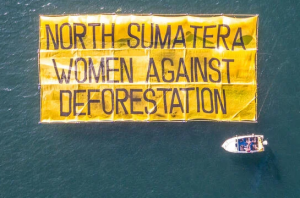 Banjir Sumatra jadi pengingat bagi pemerintahan Prabowo untuk berbenah. Foto: Rivan Hanggarai / Greenpeace