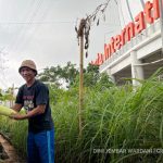Wajah baru Kampung Bayam menghidupkan kembali pertanian perkotaan. Foto: Dini Jembar Wardani