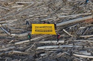Yayasan HAkA menggelar kampanye "Stop Deforestation" untuk menyelamatkan Hutan Aceh. Foto: Yayasan HAkA