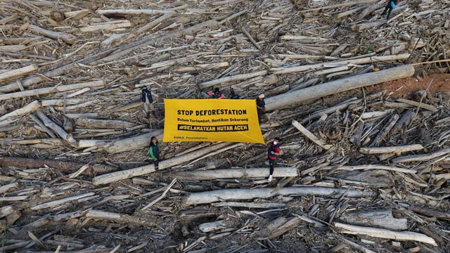 Yayasan HAkA menggelar kampanye "Stop Deforestation" untuk menyelamatkan Hutan Aceh. Foto: Yayasan HAkA