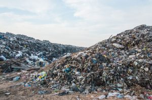 Denda sampah penting sebagai literasi finansial. Foto: Freepik