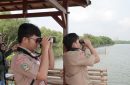 Asian Waterbird Census (AWC). Foto: Belantara Foundation