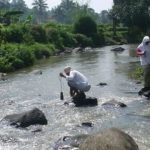 Tumpahan pestisida di Sungai Cisadane. Foto: BRIN