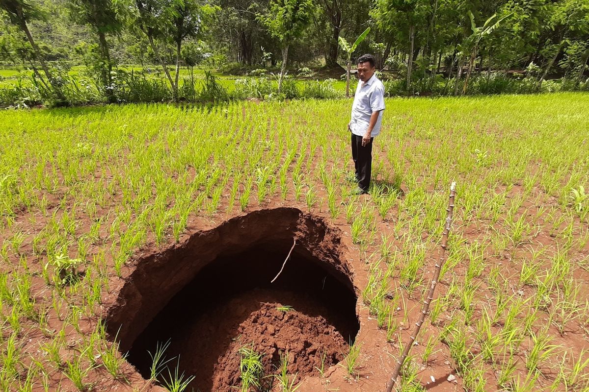 Sinkhole di Gunungkidul. Foto: UGM