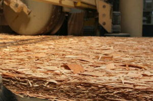 Komposit kayu ramah lingkungan IPB. Foto: IPB/Matthias Kabel