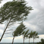 Waspada kekeringan dan angin kencang imbas suhu bumi memanas. Foto: Freepik