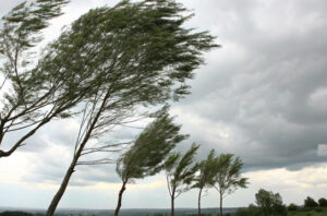 Waspada kekeringan dan angin kencang imbas suhu bumi memanas. Foto: Freepik