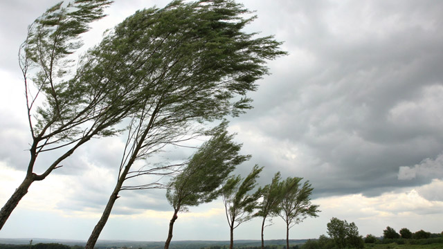 Waspada kekeringan dan angin kencang imbas suhu bumi memanas. Foto: Freepik