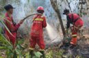 Kemenhut mengerahkan 387 personel untuk mengatasi karhutla di Riau. Foto: Kemenhut