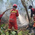 Kemenhut mengerahkan 387 personel untuk mengatasi karhutla di Riau. Foto: Kemenhut