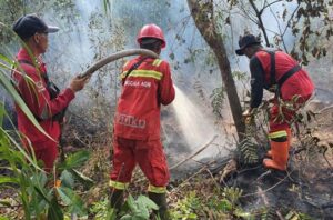 Kemenhut mengerahkan 387 personel untuk mengatasi karhutla di Riau. Foto: Kemenhut