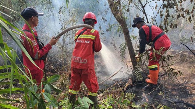 Kemenhut mengerahkan 387 personel untuk mengatasi karhutla di Riau. Foto: Kemenhut