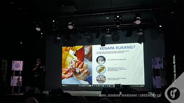 Selamatkan kukang dari perdagangan lewat pendekatan holistik. Foto: Dini J. Wardani Foto: Dini J. Wardani