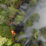 Sebanyak 11.189 titik hotspot terindentifikasi secara nasional. Foto: Freepik