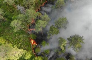 Sebanyak 11.189 titik hotspot terindentifikasi secara nasional. Foto: Freepik