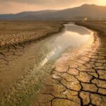 Peluang El Nino super kuat masih di bawah 20%. Foto: Freepik