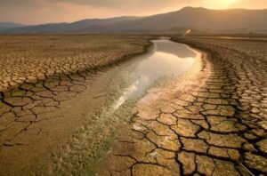Peluang El Nino super kuat masih di bawah 20%. Foto: Freepik