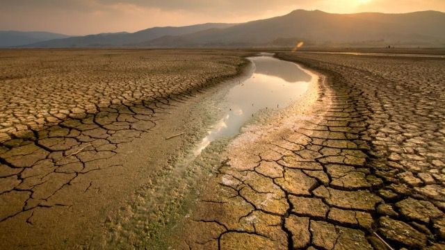 Peluang El Nino super kuat masih di bawah 20%. Foto: Freepik