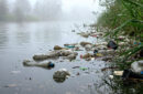 Peneliti BRIN mengungkap Sungai Cisadane tercemar logam berat. Foto: Magnific