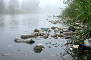 Peneliti BRIN mengungkap Sungai Cisadane tercemar logam berat. Foto: Magnific