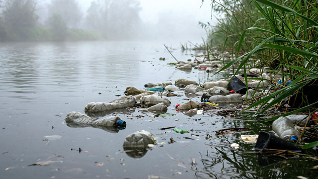 Peneliti BRIN mengungkap Sungai Cisadane tercemar logam berat. Foto: Magnific