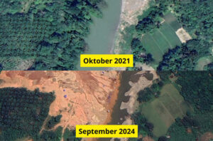 Citra satelit Walhi menunjukkan aktivitas tambang emas ilegal di Sijunjung. Foto: Walhi