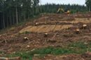 Kehadiran Bank Tanah memperparah konflik agraria di Poso. Foto: Magnific