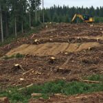 Kehadiran Bank Tanah memperparah konflik agraria di Poso. Foto: Magnific